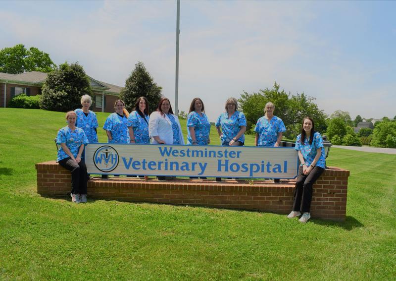 Carousel Slide 10: Westminster Veterinary Hospital Veterinary Team